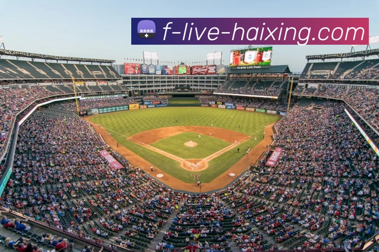 海星体育官网发展历程